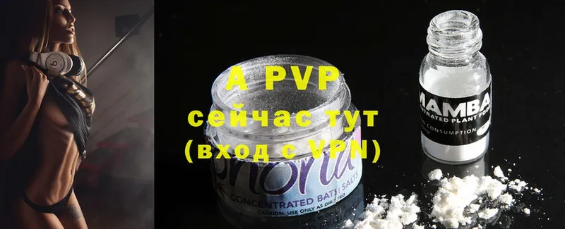 A PVP СК  Шахты 